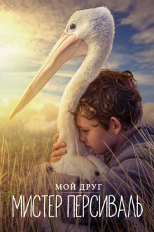  Мой друг мистер Персиваль (2019) Storm Boy