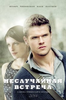  Неслучайная встреча (2014) 