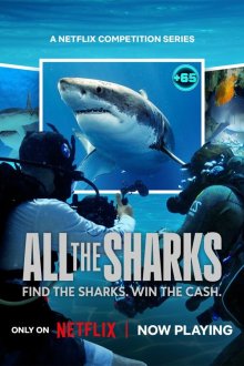  Все акулы (2025) All the Sharks