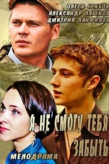  Я не смогу тебя забыть (2013) 