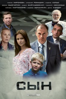  Сын (2014) 
