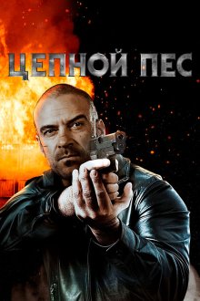  Цепной пёс (2020) Tainted
