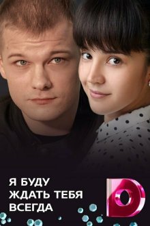  Я буду ждать тебя всегда (2013) 