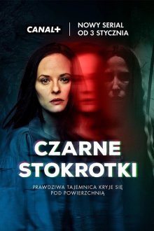 Странные Ангелы / Чёрные ромашки (2025) Czarne stokrotki