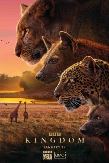 Царство животных (2025) Kingdom