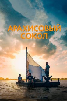  Арахисовый сокол (2019) The Peanut Butter Falcon
