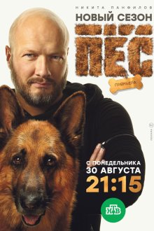  Пёс (2015) 