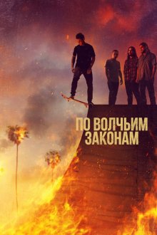  По волчьим законам (2016) Animal Kingdom 