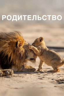 Родительство (2025) Parenthood