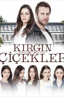  Обиженные цветы (2015) Kirgin Çiçekler 