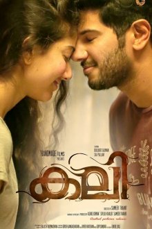  Гнев (2016) Kali