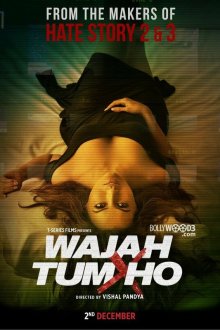  Ты всему причина (2016) Wajah Tum Ho