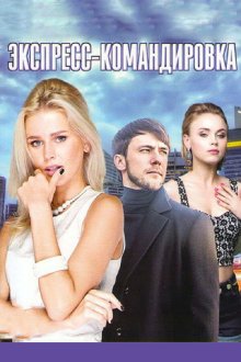  Экспресс-командировка (2016) 