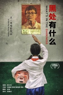  Что скрывает тьма (2015) Hei chu you she me