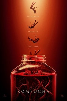  Чайный гриб (2025) Kombucha