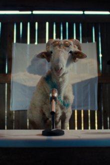 Овцы (2026) Sheep