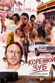 Коренной зуб (2025) Molar