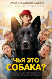 Чья это собака? (2025) Not My Dog