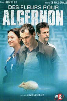 Цветы для Элджернона (2006) Des fleurs pour Algernon
