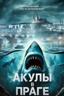 Акулы в Праге (2025) Sharks in Prague