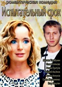 Испытательный срок (2014)
