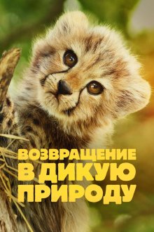 Возвращение в дикую природу (2025) Born to Be Wild