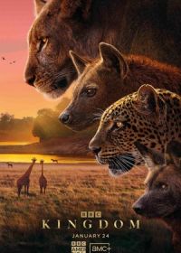 Царство животных (2025) Kingdom