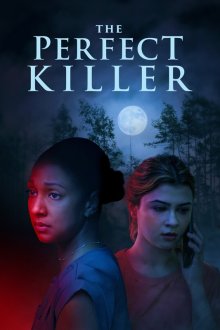 Идеальный убийца (2025) The Perfect Killer