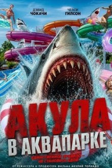 Акула в аквапарке (2026) Water Park Shark