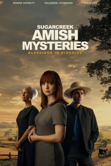 Тайны амишей из Шугар Крика: Нет худа без добра (2025) Sugarcreek Amish Mysteries: Blessings in Disguise
