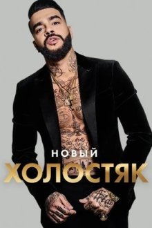 Холостяк (2013-2022)