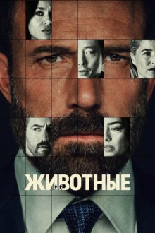 Животные (2026) Animals