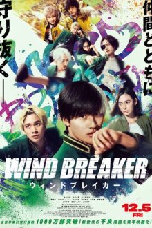 Ветролом (2025) Wind Breaker