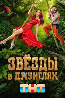 Звёзды в джунглях (2024-2026)